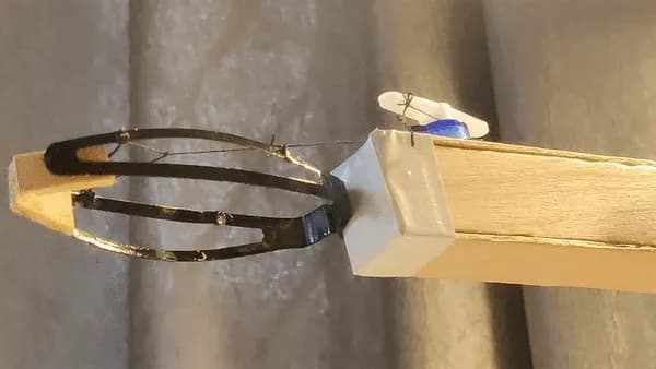 The hair-clip claw opening and closing
